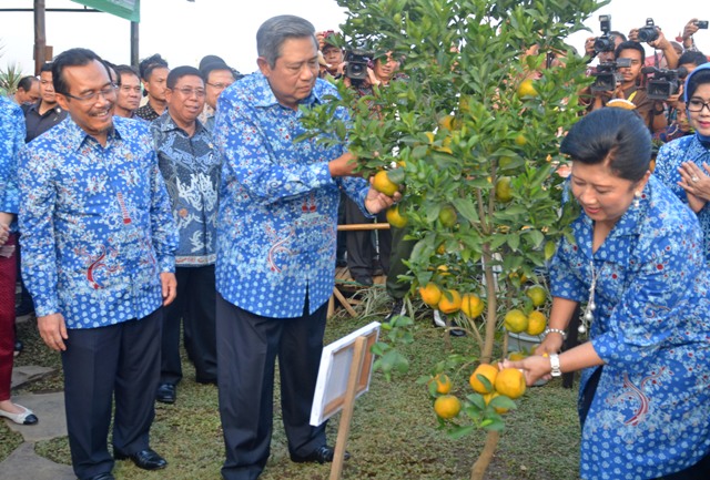 SBY Dukung Ketahanan Pangan Nasional
